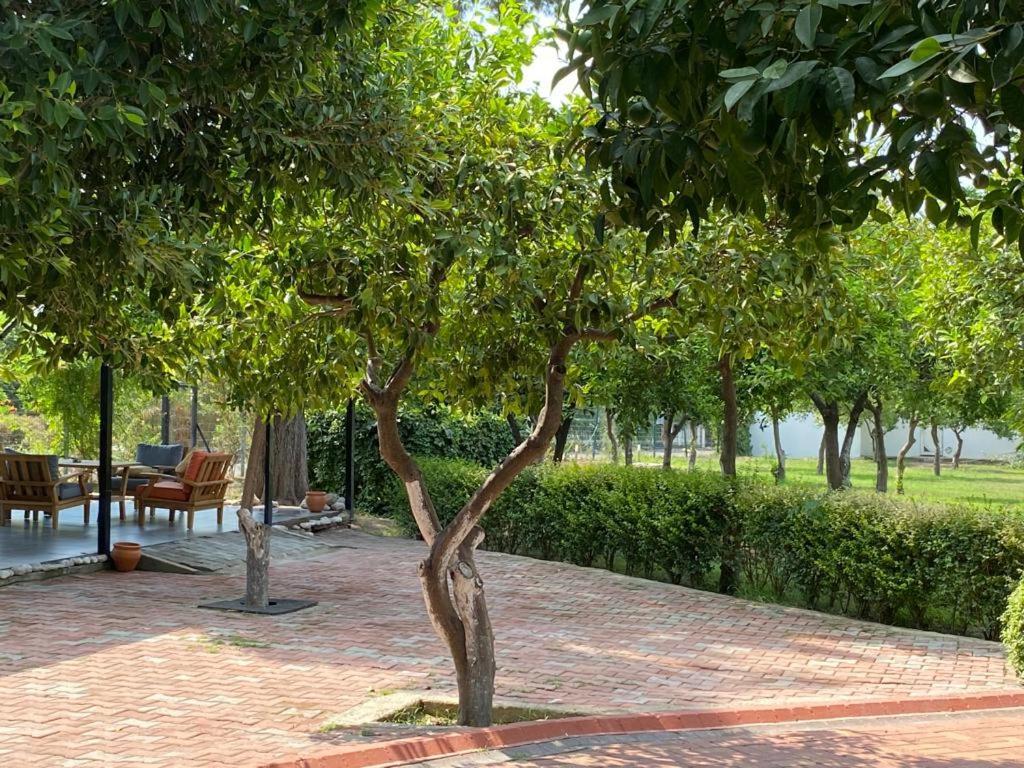 Omorfi Garden Resort Kemer Luaran gambar